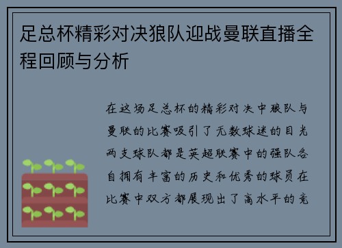 足总杯精彩对决狼队迎战曼联直播全程回顾与分析